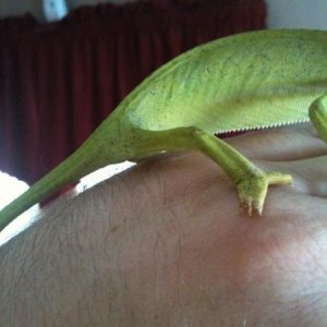 Male or female?