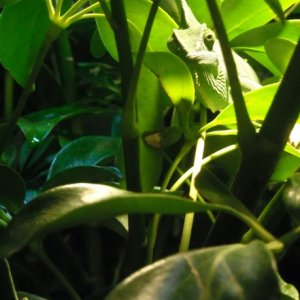 DSCN2254