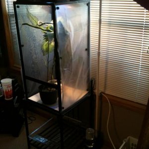My modified Reptifogger. Still a work in progress.
