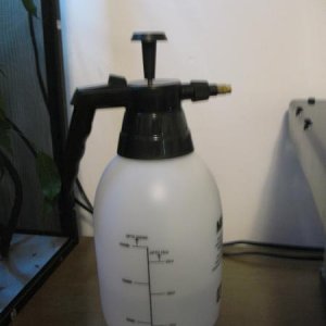 IMG 8439