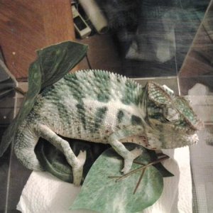 20120527 061710