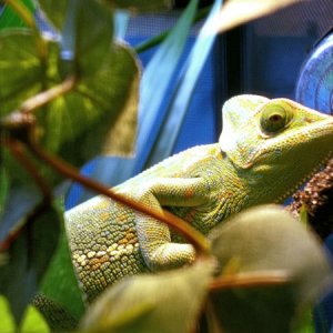 Just chillin' at a cool 80F :)