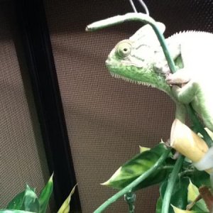 Looking at me like "WTF?"