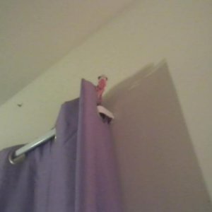 There is a creeper watching me... I can just feel it...