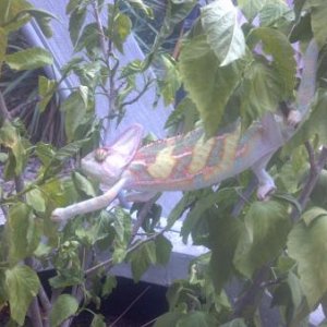 2012 08 15 13 27 57 642