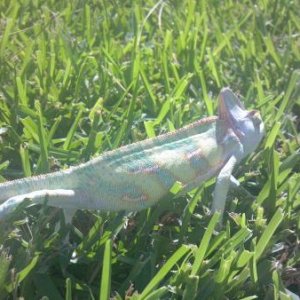 2012 08 05 10 41 28 157