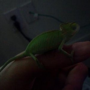 2012 06 10 18 46 43 752