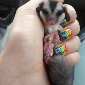 Napping in my hand on the way home. 08-17-2012