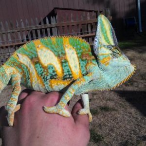 Lookin good in the sun!