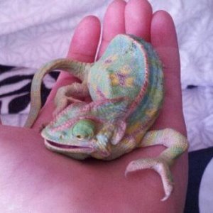 When I first got her