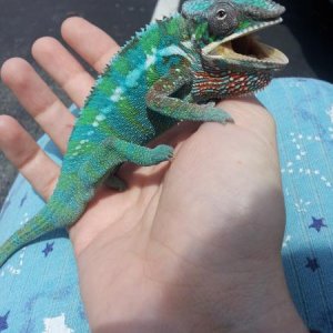 Smile for the camera!