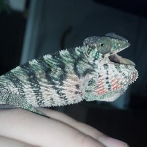 2012 09 04 16 06 29 494