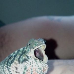 2012 09 04 16 06 39 252