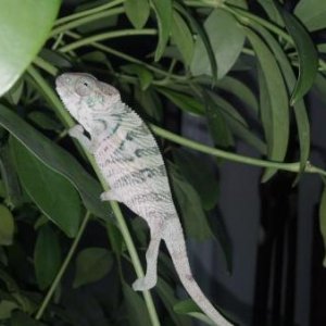 2012 09 04 16 10 12 498