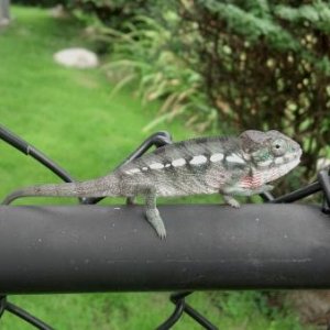 2012 09 06 11 33 36 358