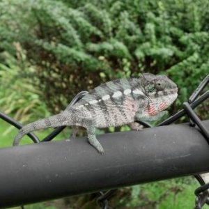 2012 09 06 11 33 44 331