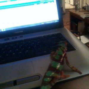 mojo checkn out the forums w/ me