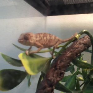 Teca getting so cute!