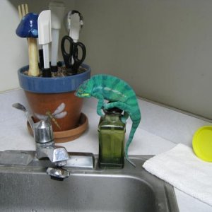 Soap first. Then water.