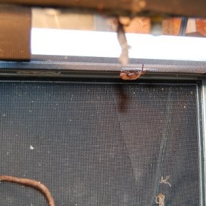 DSC 0002