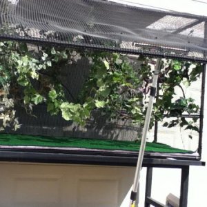 Outdoor enclosure I constructed:)