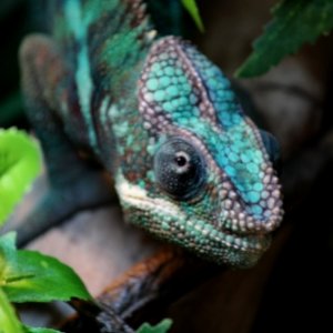 What are you looking at?