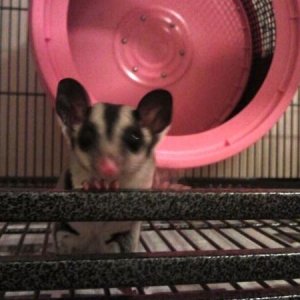 2012 09 13 21.48.06