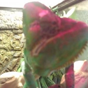 IMAG0253