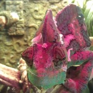 IMAG0249