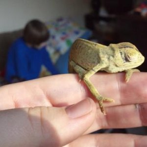 This is him at his worst, the day we received him