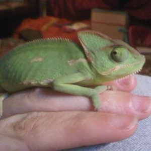 IMG00488 20121125 1745