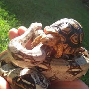 Natalie chilling with Sheldon