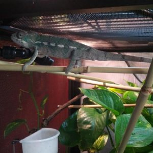 IMG 20121119 131111