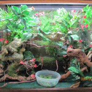 Temporary enclosure.