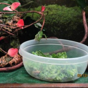 First feeding cup.