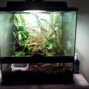 The enclosure