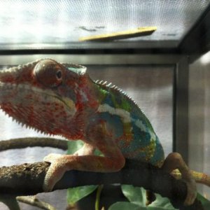 rxfgBTBMLOp voEL0a 9Rb5XOl93swSF5rt4szFG7vA