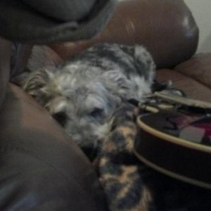 Lacey and my mandolin :)