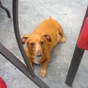 IMG 20120603 151106