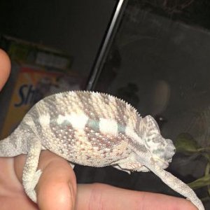 IMAG2970 1 1