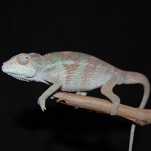 DSC 0005