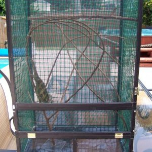 Front view