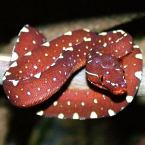 DSC00008