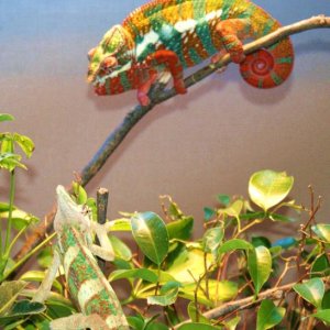 DSC00170