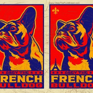 french bulldog wallpaper