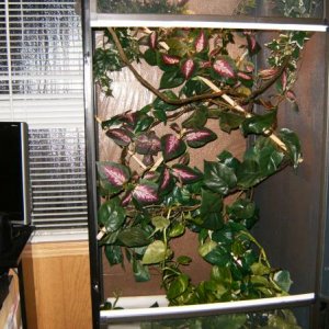Mello's Cage