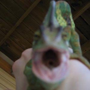 IMG 4398