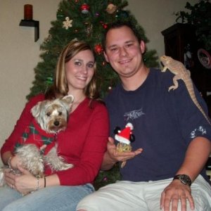 Christmas 2008