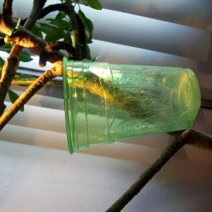 Cup Feeder