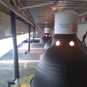 Inside rack lighting position and misting